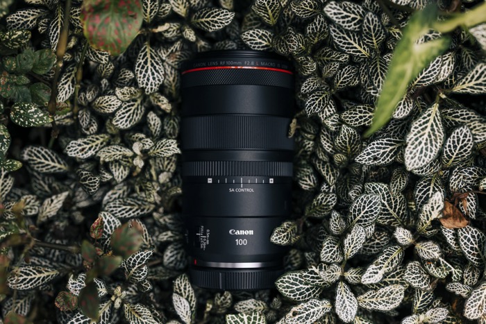 Canon RF 100mm F2.8L MACRO IS USM | Canon Lens | Canon Camera Lens